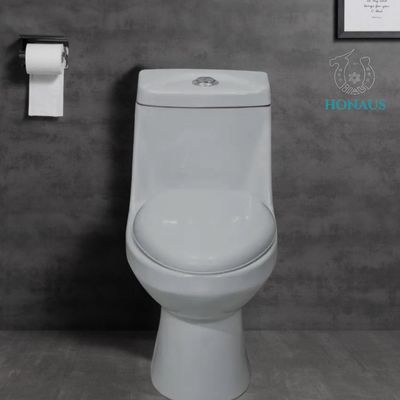Traditional Single Piece Water Closet Commode Anti Stain Glazed Odor Isolation