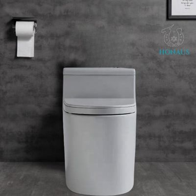 Export Standard Ceramic One Piece Toilet Bowl Exquisite Appearence
