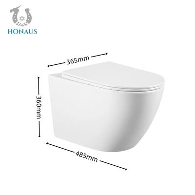 Watermark CE Wall Hanging Commode Rimless Water Closet Washdown Type