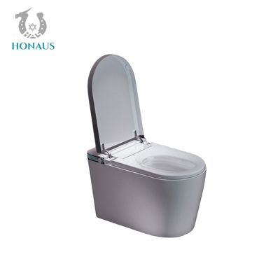 UV Sterilization Remote Control Toilet Automatic Ceramic Toilet UVGI