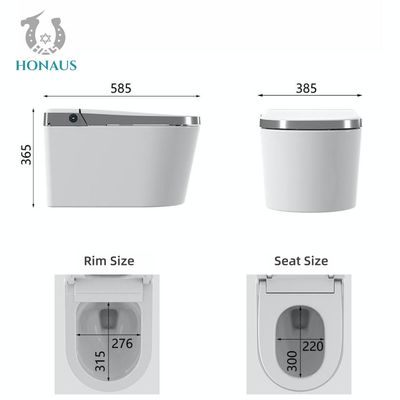 Self Clean Intelligent Wc Electronic Water Closet Sensor Control Wall Mounted