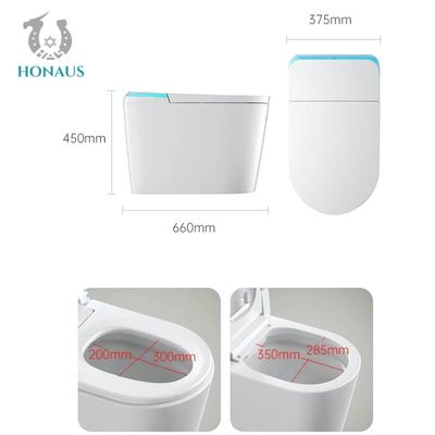 Siphon Flush Smart Intelligent Toilet Auto Flip Cover Sensor AC220v/50HZ