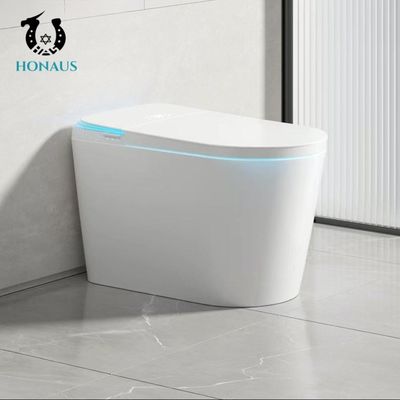 Siphon Flush Smart Intelligent Toilet Auto Flip Cover Sensor AC220v/50HZ