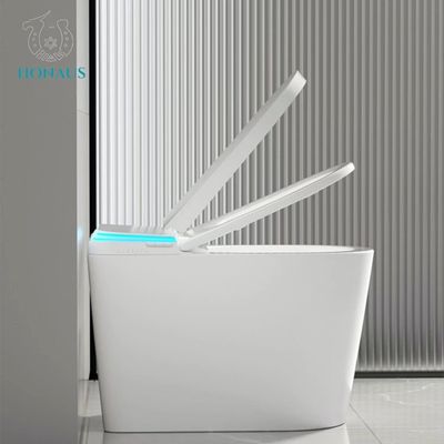 Siphon Flush Smart Intelligent Toilet Auto Flip Cover Sensor AC220v/50HZ