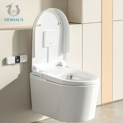 Wall Mounted Smart Intelligent Toilet Remote Control Small Bathroom Hotel P Trap