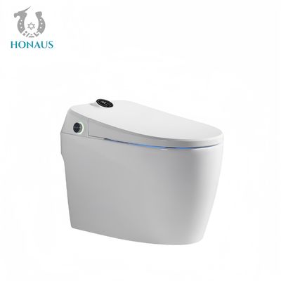 Luxury Smart Intelligent Toilet Multi Function Auto Flush