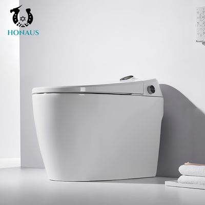 Luxury Smart Intelligent Toilet Multi Function Auto Flush