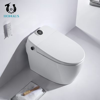 Luxury Smart Intelligent Toilet Multi Function Auto Flush