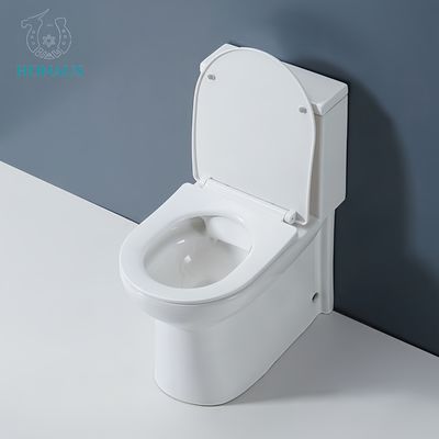 Elegant White Ceramic One Piece Toilet Bowl Vortex Flush Sea Worth Packing Bathroom Use