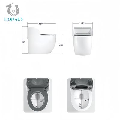 Multi Color Ceramic One Piece Toilet Bowl Luxury Design Hotel Modern Bathroom Use