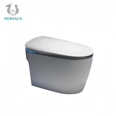 Multi Functions Smart Intelligent Toilet Night Light Ceramic Body Foam Shield