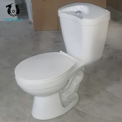 Floor Mounted Two Piece Toilet Bowl With Dual Flush Elongated Shape