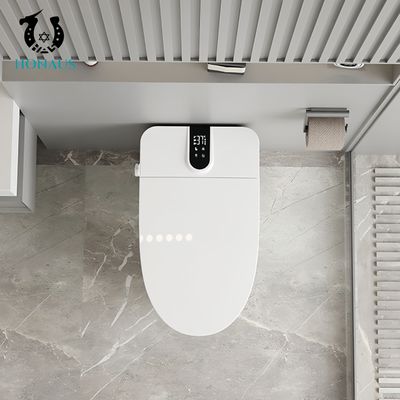 Small Size Smart Intelligent Toilet Ceramic Multi Functions Modern Design Siphonic