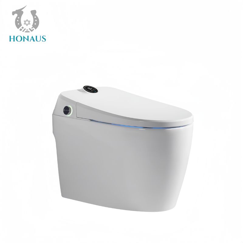 Luxury Smart Intelligent Toilet Multi Function Auto Flush