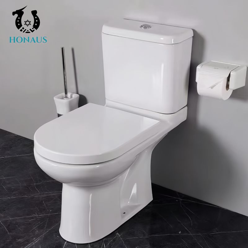 766*376*720mm Two Piece Toilet Bowl With Practical Design Style And Dual Flush System