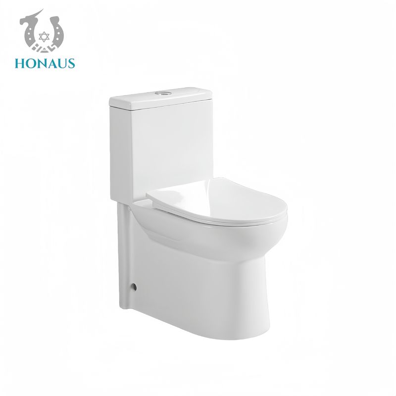 Elegant White Ceramic One Piece Toilet Bowl Vortex Flush Sea Worth Packing Bathroom Use