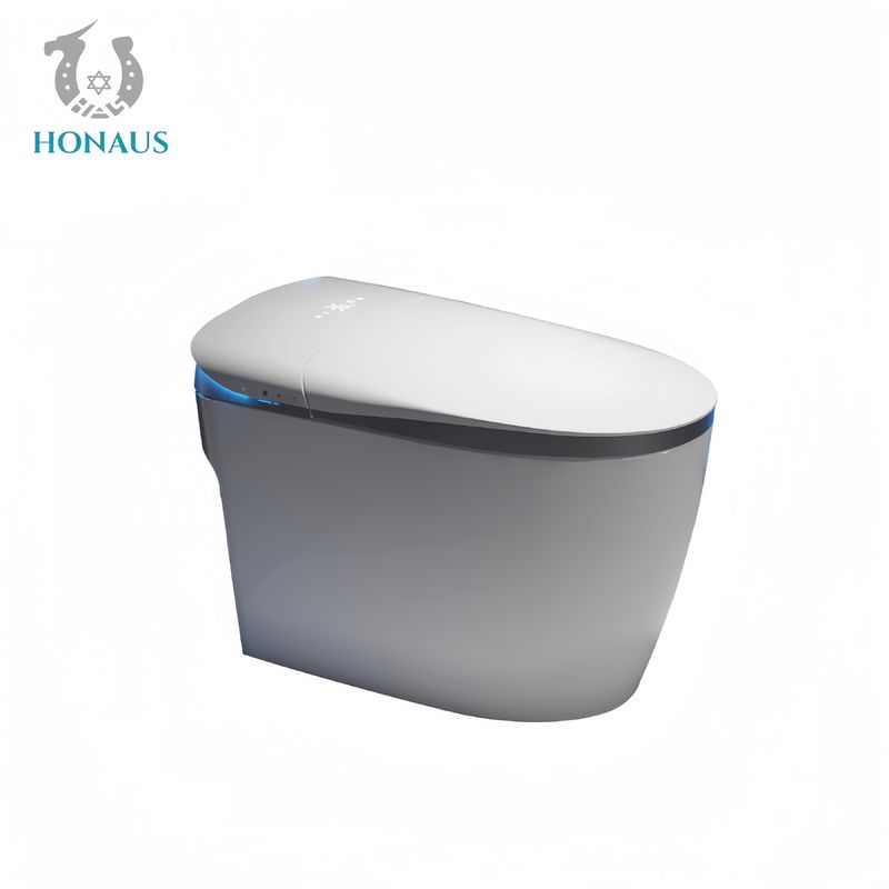 Multi Functions Smart Intelligent Toilet Night Light Ceramic Body Foam Shield